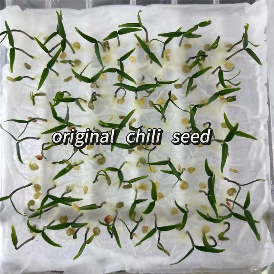 Chili Seed Pelleting Machine best
