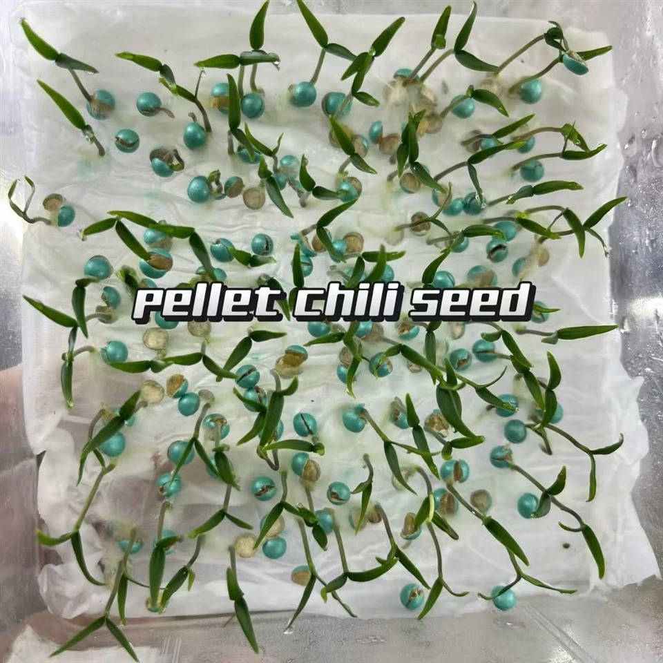 Chili Seed Pelleting Machine suppliers